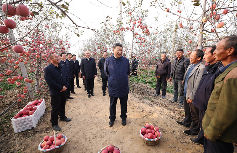 10月26日至28日，中共中央总书记、国家主席、中央军委主席习近平在陕西省延安市、河南省安阳市考察。这是26日下午，习近平在延安市安塞区高桥镇南沟村苹果园同老乡们亲切交流。